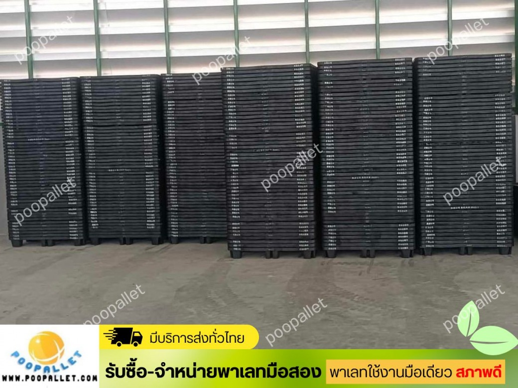 พาเลทมือสอง สภาพดี ขายไม่แพง