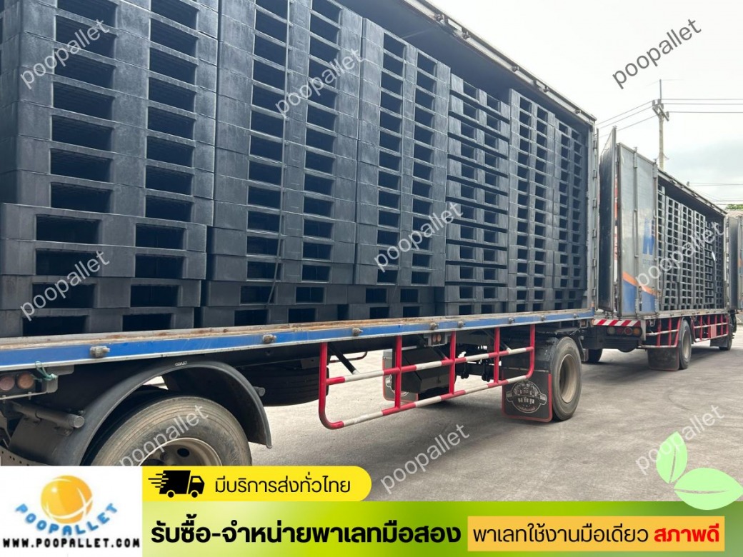 พาเลทมือ2 ฉะเชิงเทรา
