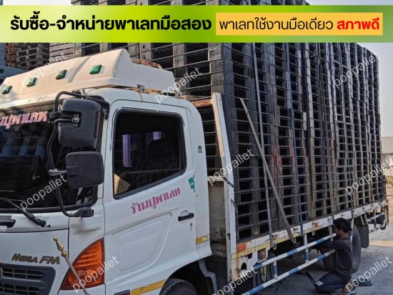 ร้านขายพาเลท มีบริการส่ง